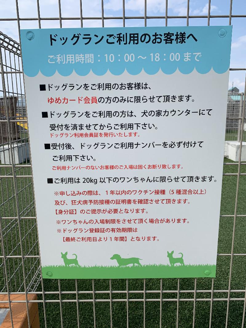 What kind of place is Dog Run in Youmetown Himeji? ? I summarized the usage method!