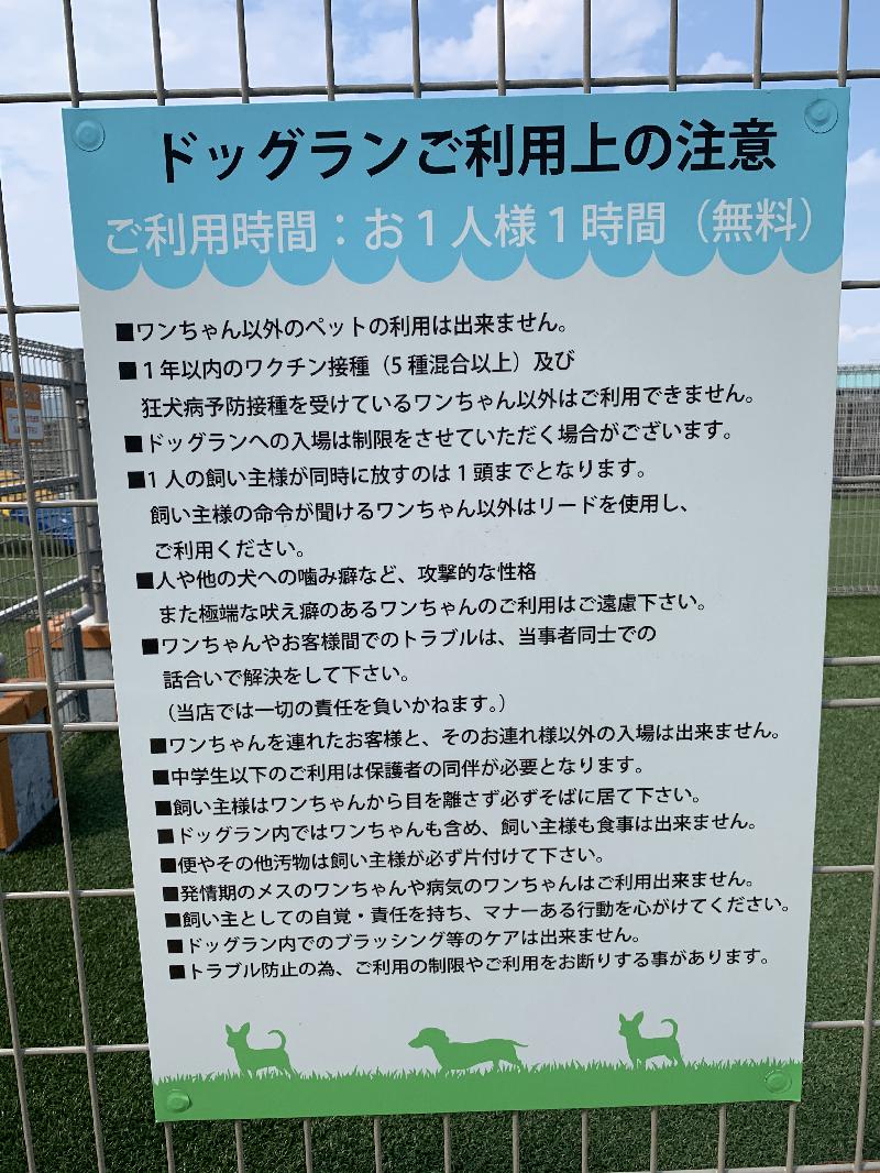 What kind of place is Dog Run in Youmetown Himeji? ? I summarized the usage method!