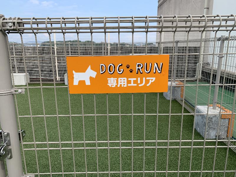 What kind of place is Dog Run in Youmetown Himeji? ? I summarized the usage method!