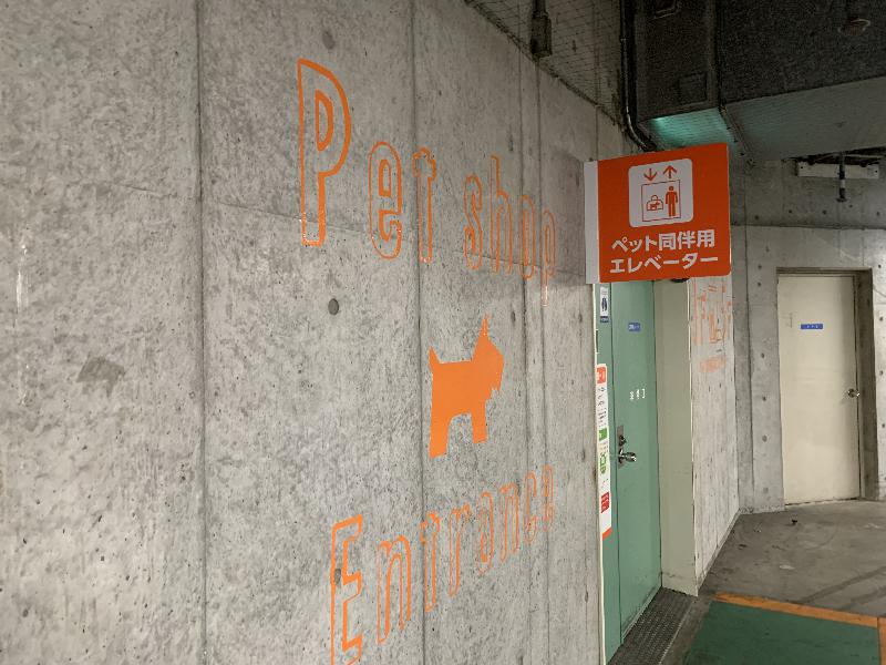 What kind of place is Dog Run in Youmetown Himeji? ? I summarized the usage method!