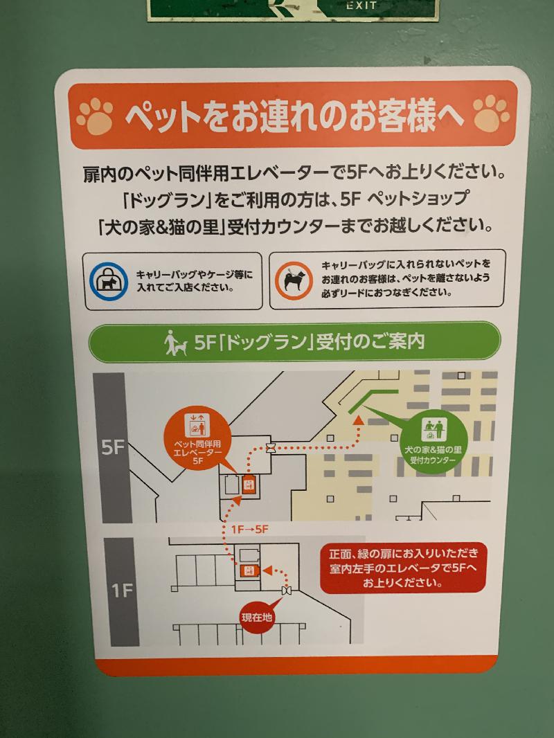 What kind of place is Dog Run in Youmetown Himeji? ? I summarized the usage method!