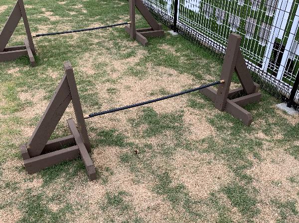 About how to use the dog run of Kainz Himeji Otsu store and equipment 