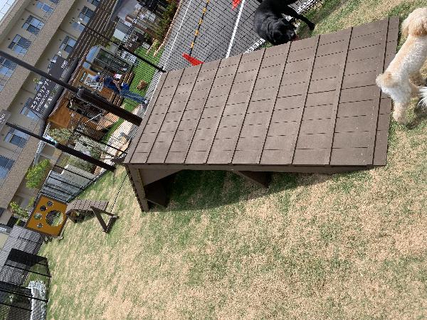 About how to use the dog run of Kainz Himeji Otsu store and equipment 