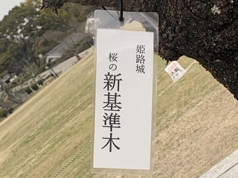 ¿Sabes que hay una mesa de cerezo en el castillo de Himeji? ? 🌸 